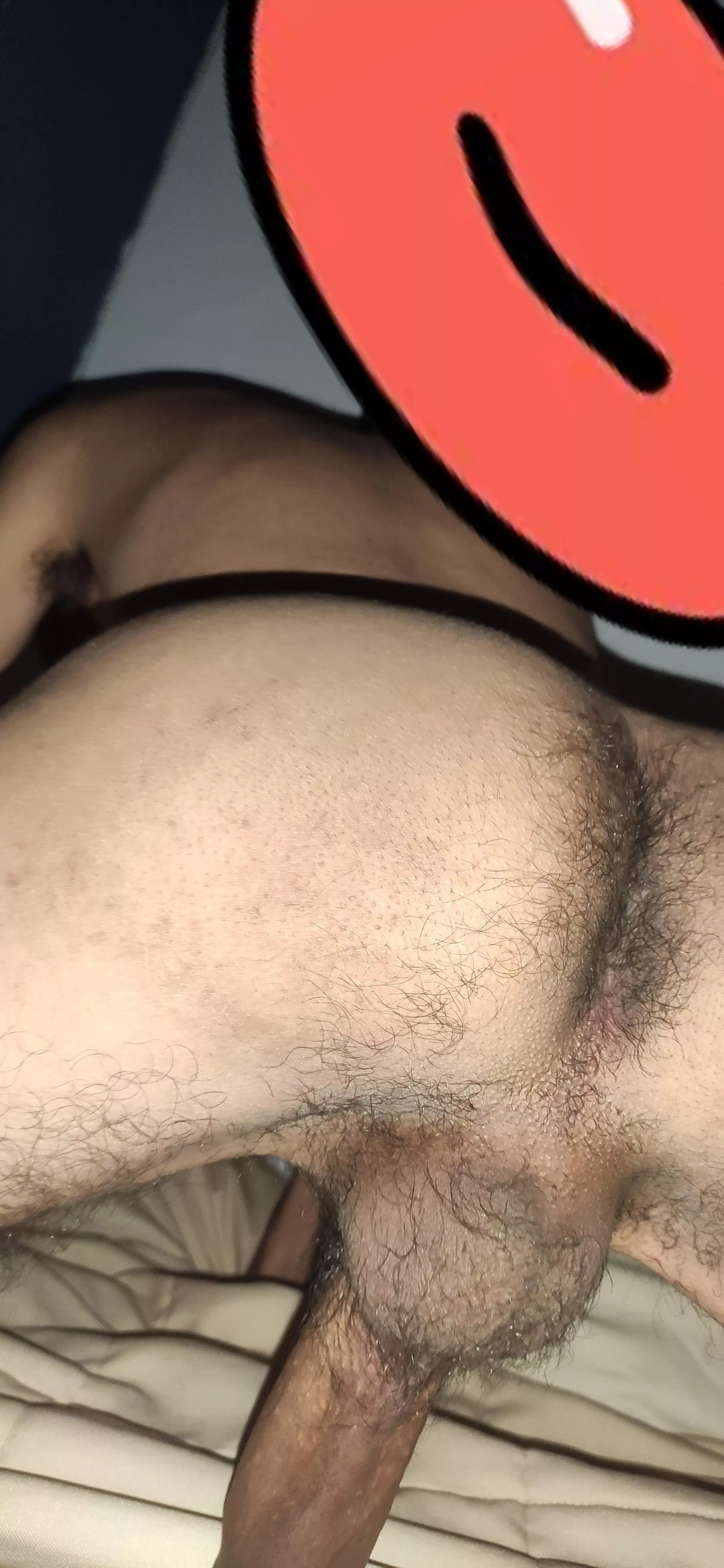 Hi Hi