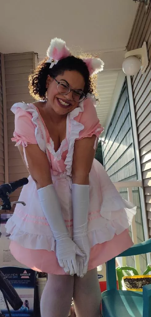 Hi im a newb kitten ?