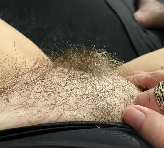 Hi ladies! Sunday furry fun.