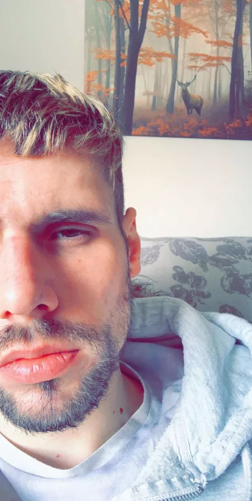 Hii. Haven't posted for a while. Someone message me ☺️