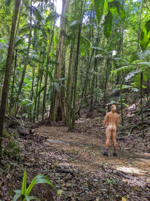 Hmm, all alone in the forest, what shall I do with myself?