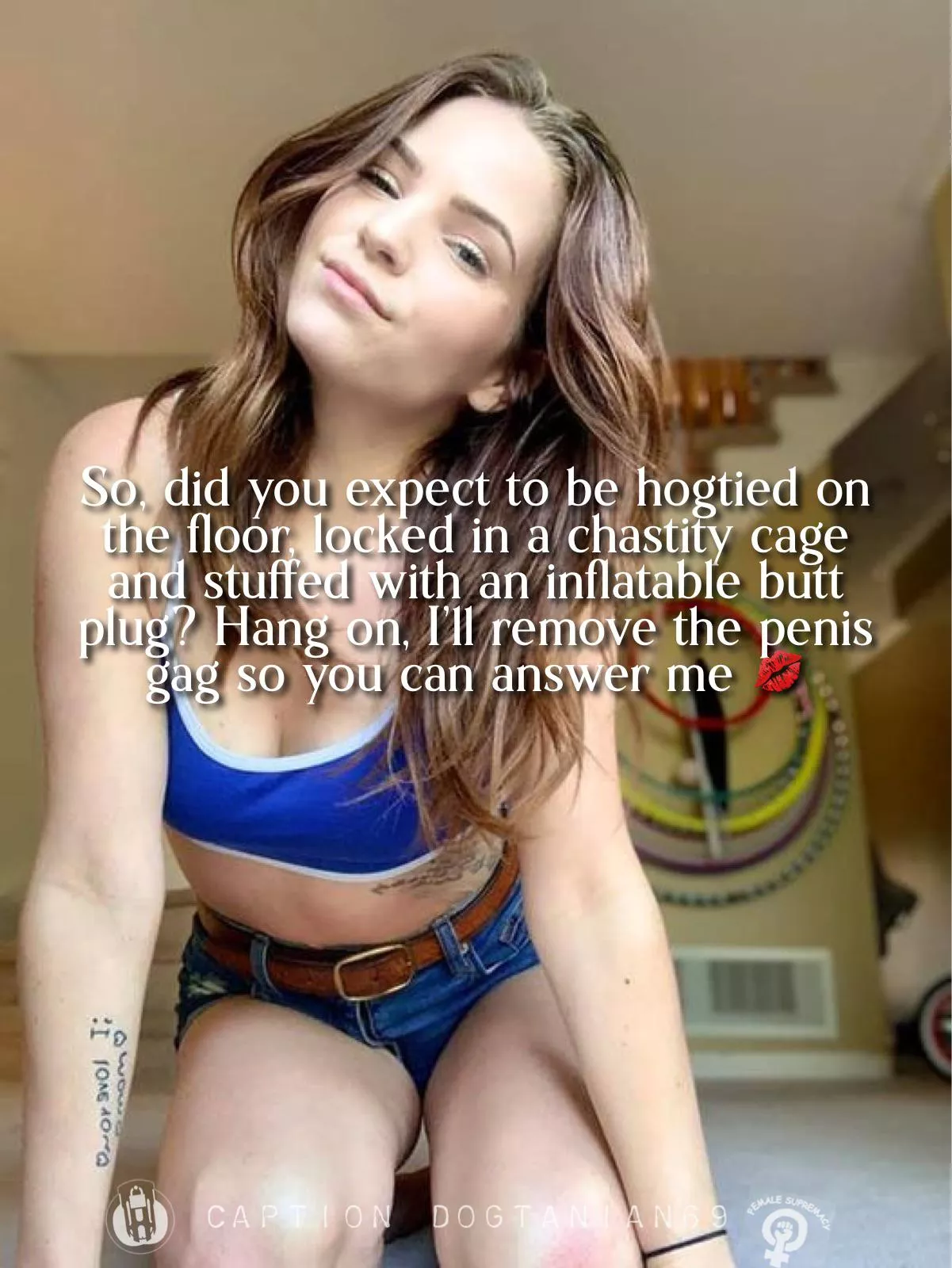 Hogtied Hogtied