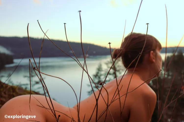 Home for me is where the sea meets the trees