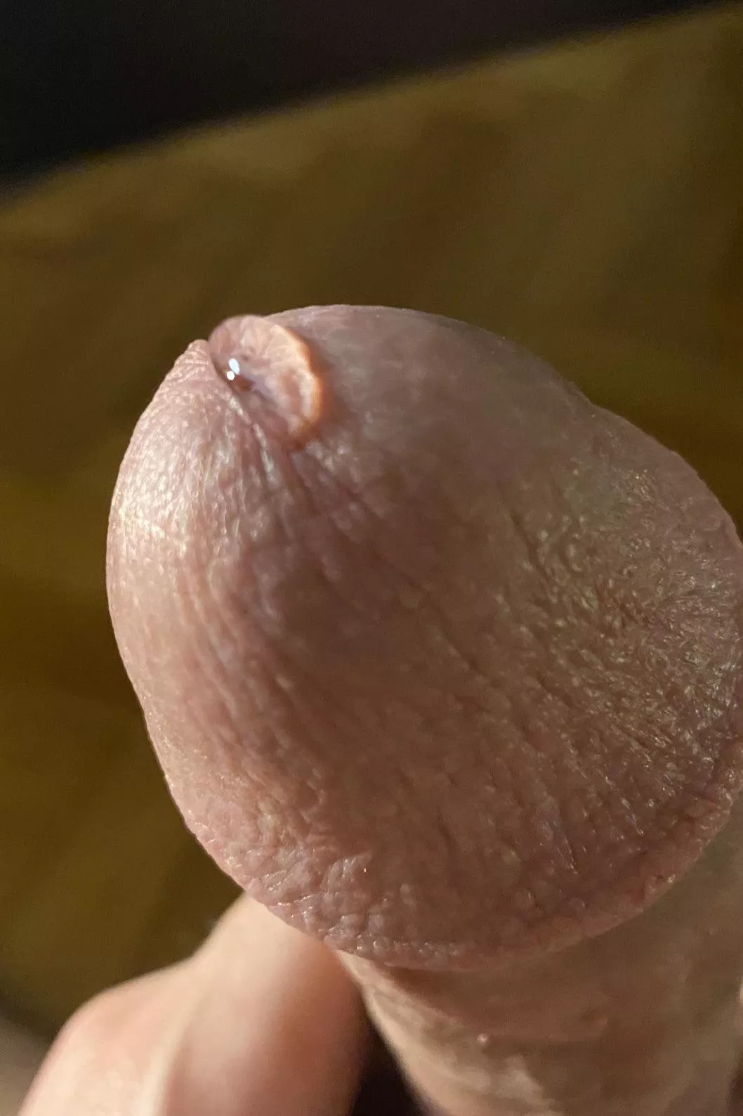 Honey of the day Honey of the day