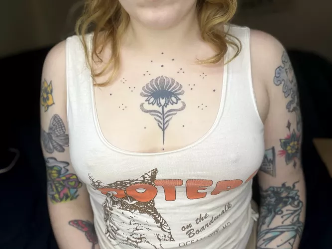 honk honk