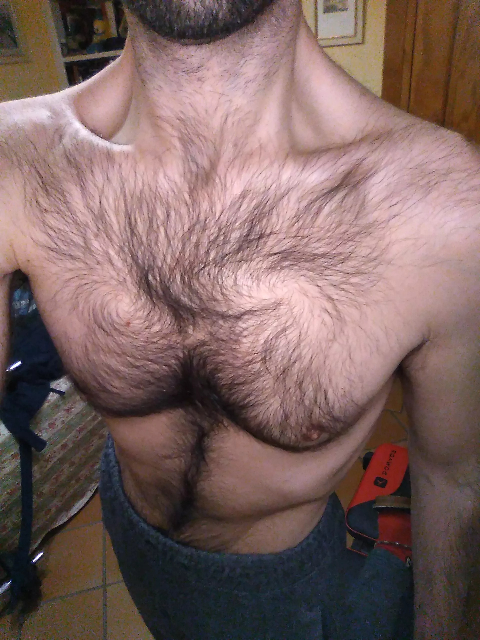 Honk if you're into hairy chests