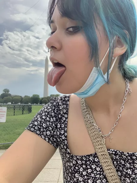 Honoring Americaβs Monuments the right way