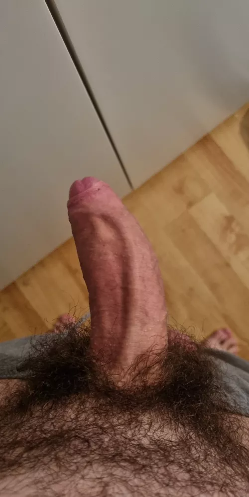 Hope you all like what you see