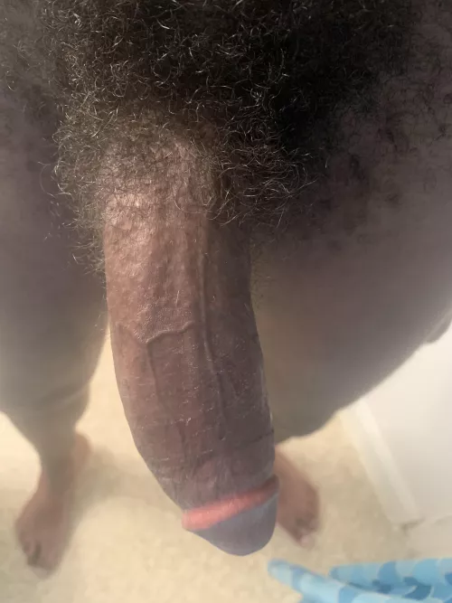 Hope you donโt mind a bushy cock ;)