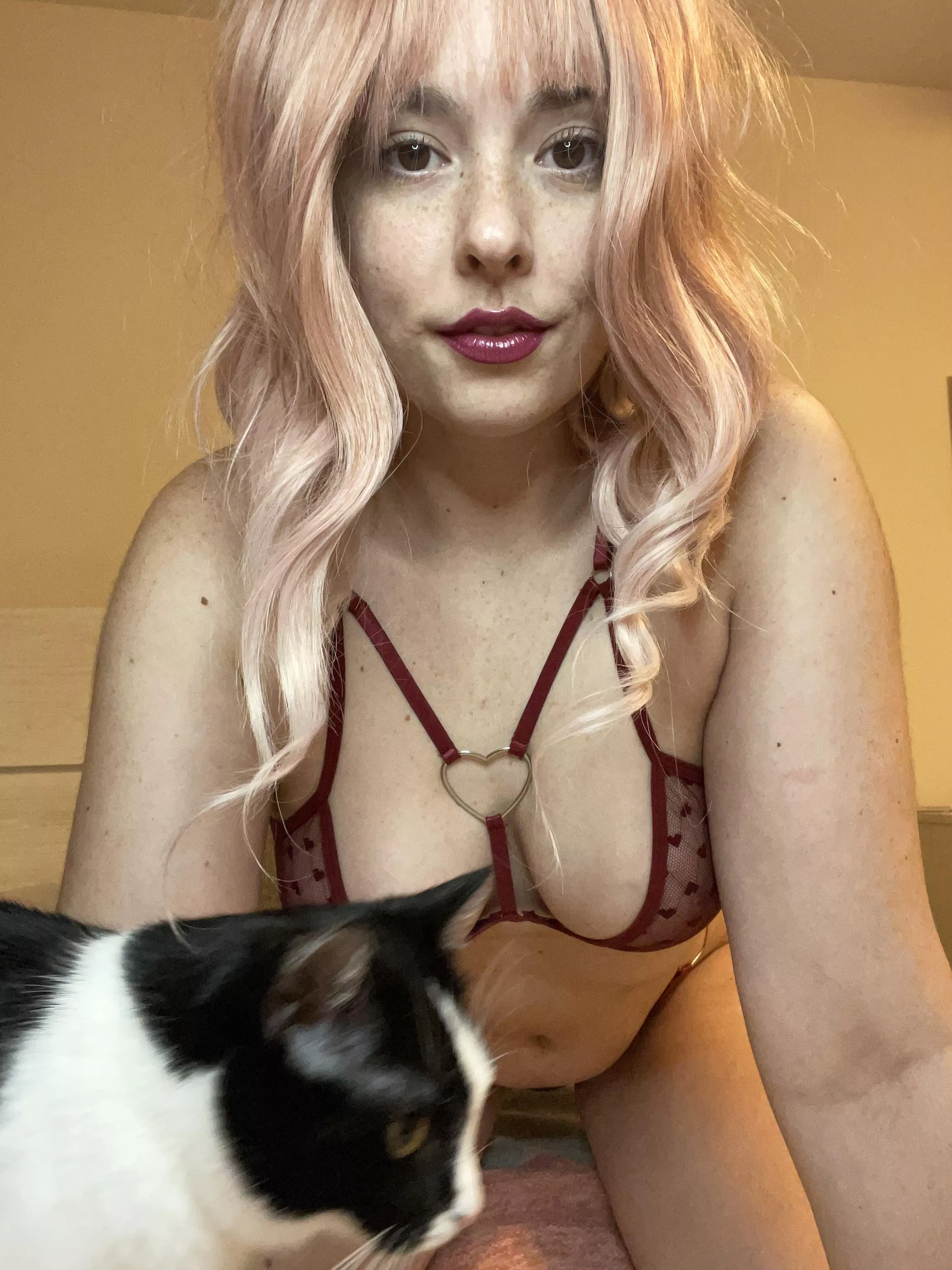 Hope you don’t mind a little pussy 🐱 Hope you don’t mind a little pussy 🐱