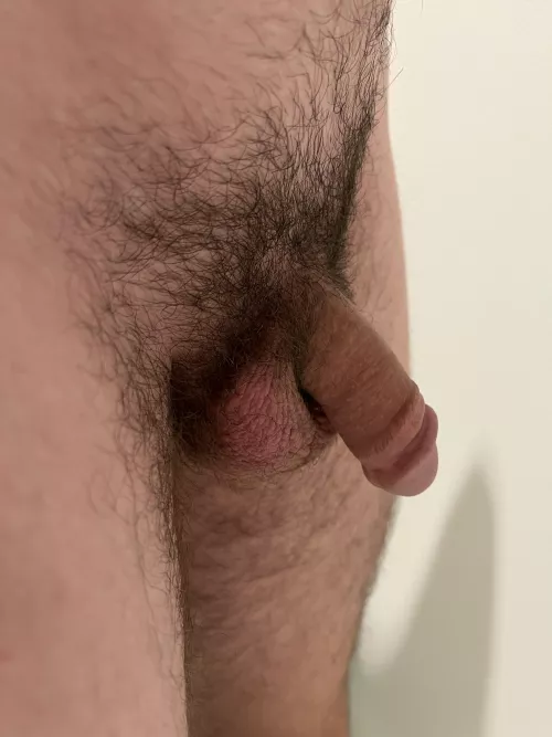 Hope you enjoy my softy and pubes. Kinda thinking about shaving again
