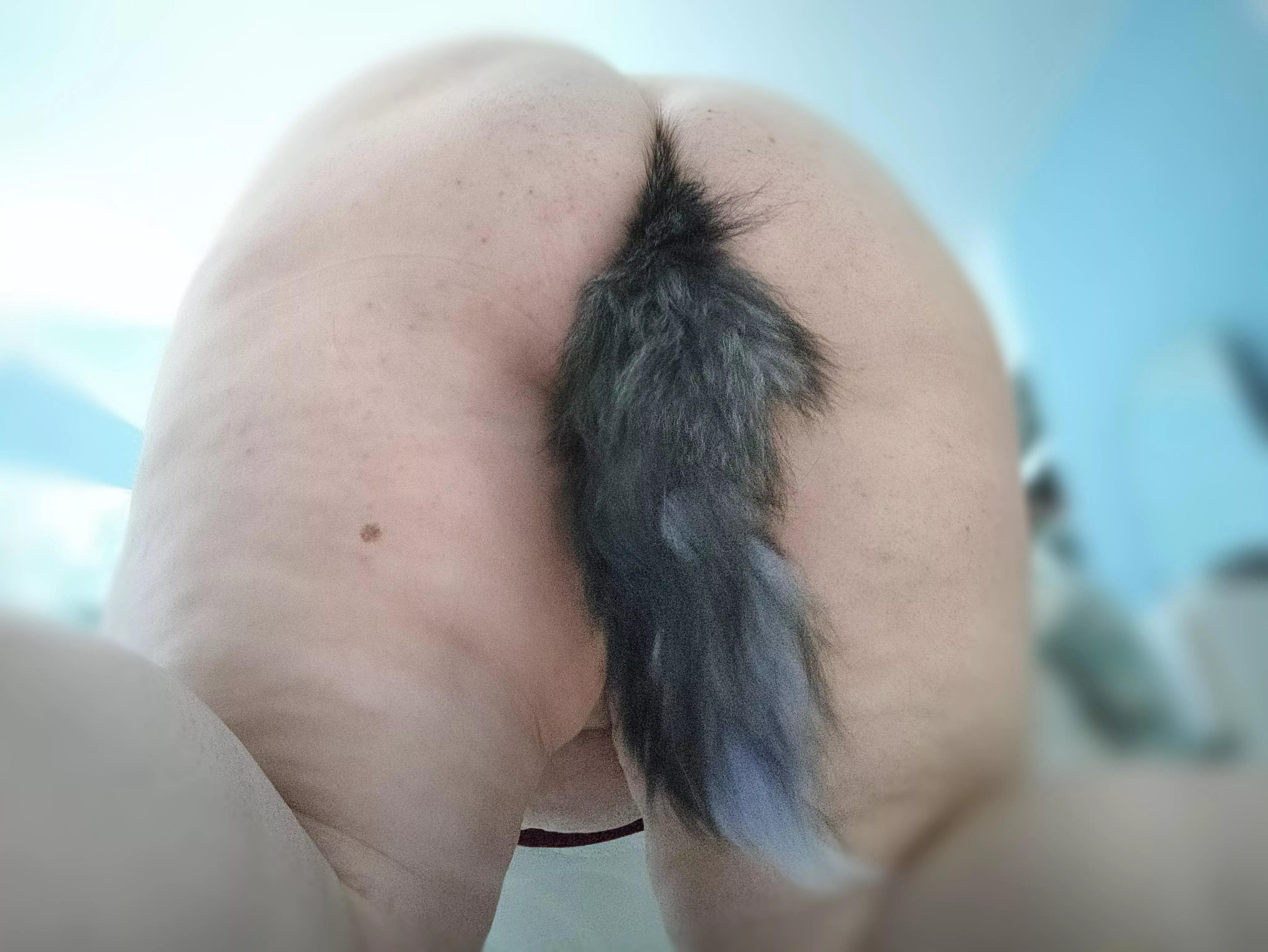 Hope your year is as good as my ass