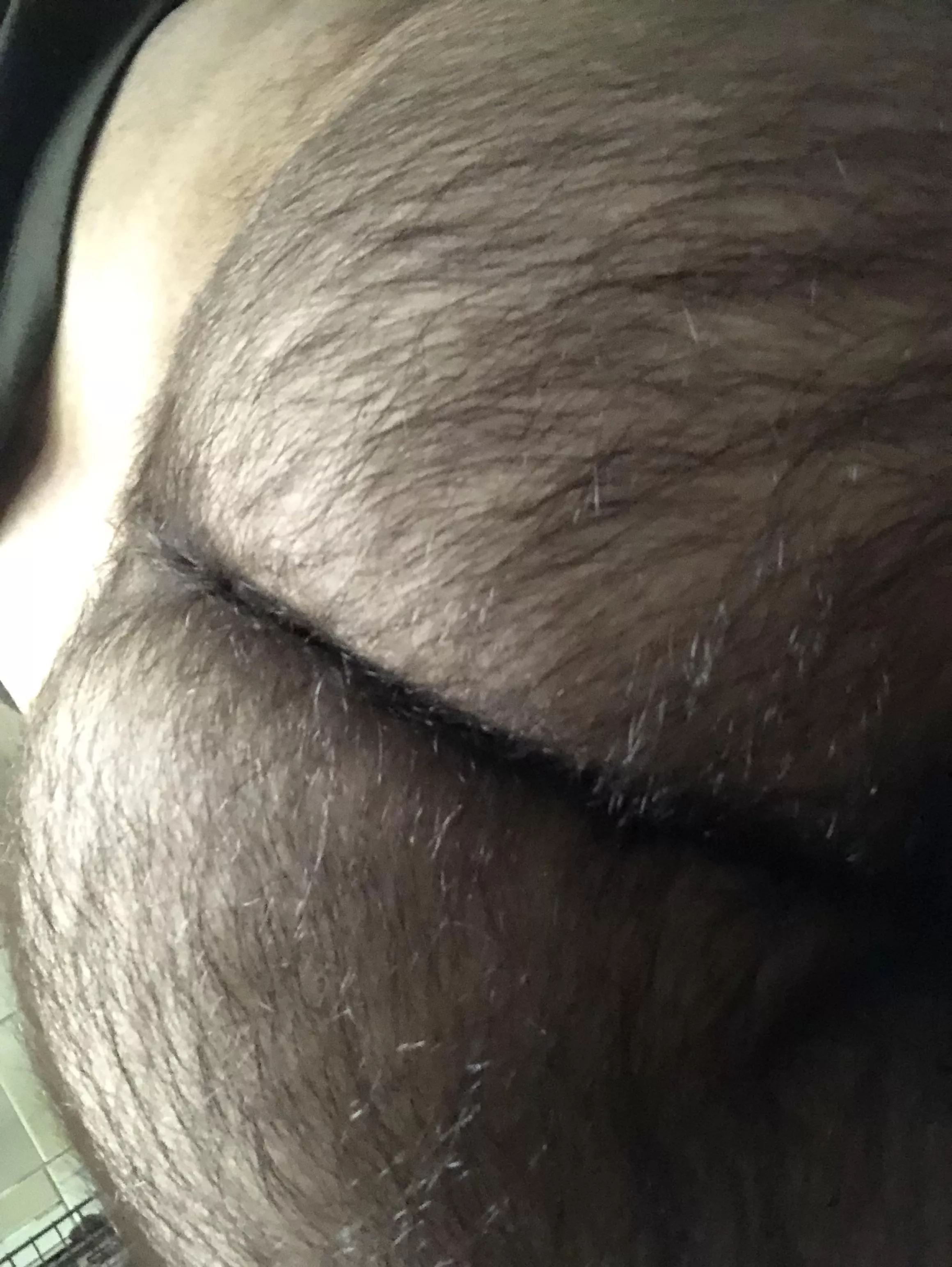 horny again horny again