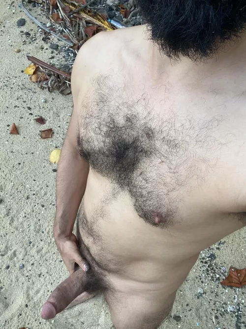 Horny at the beach