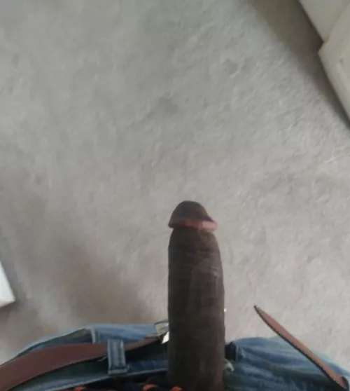 Horny holidays