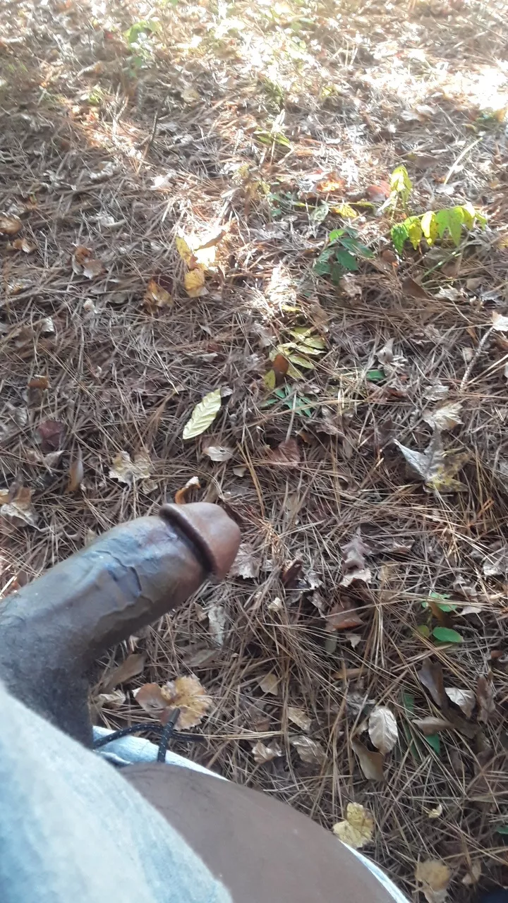 Horny in Nature 😈