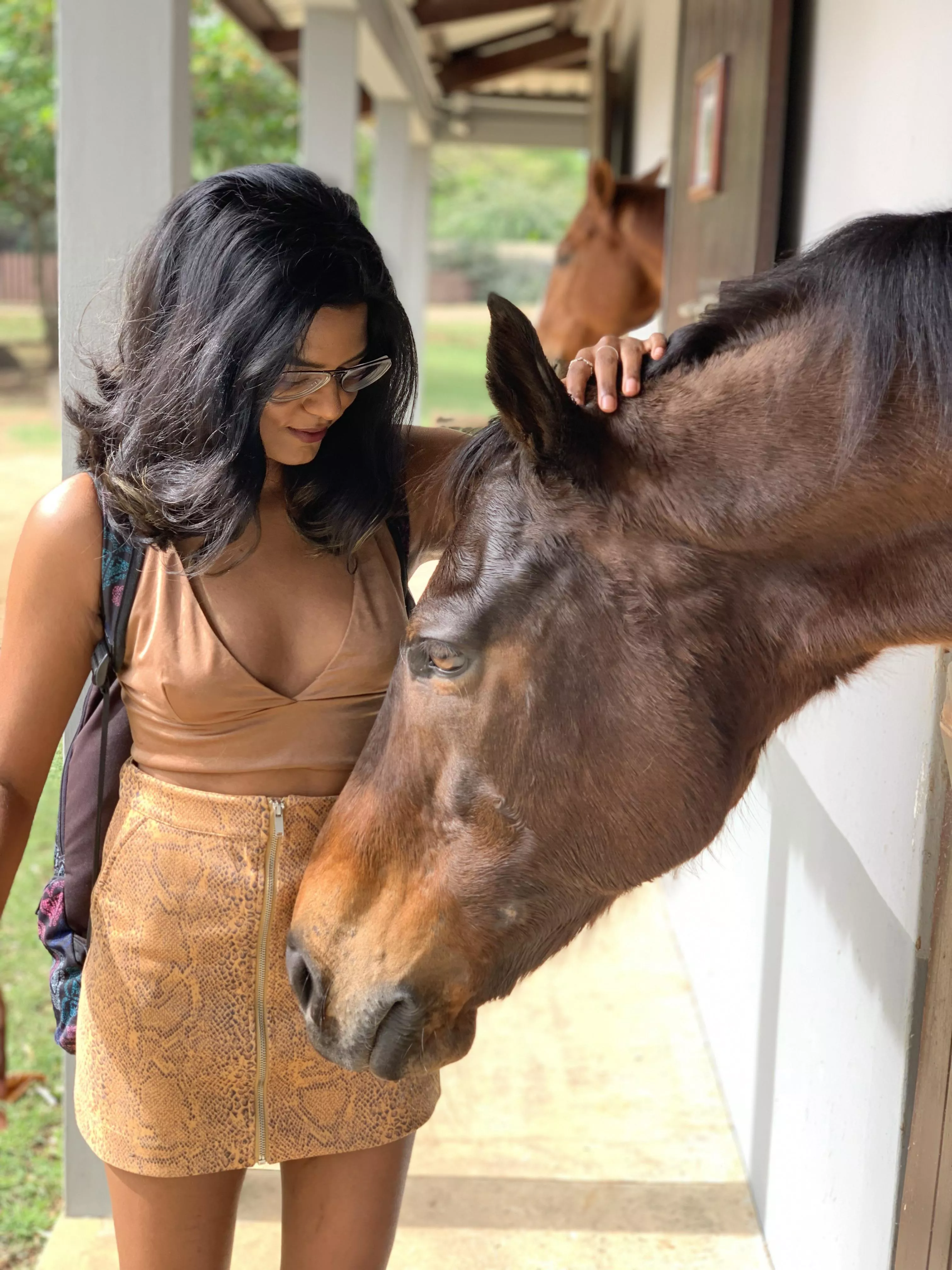 Horses are my second favorite things to ride Horses are my second favorite things to ride