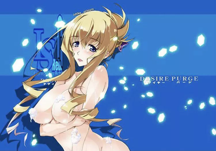 Hot body (infinite stratos)