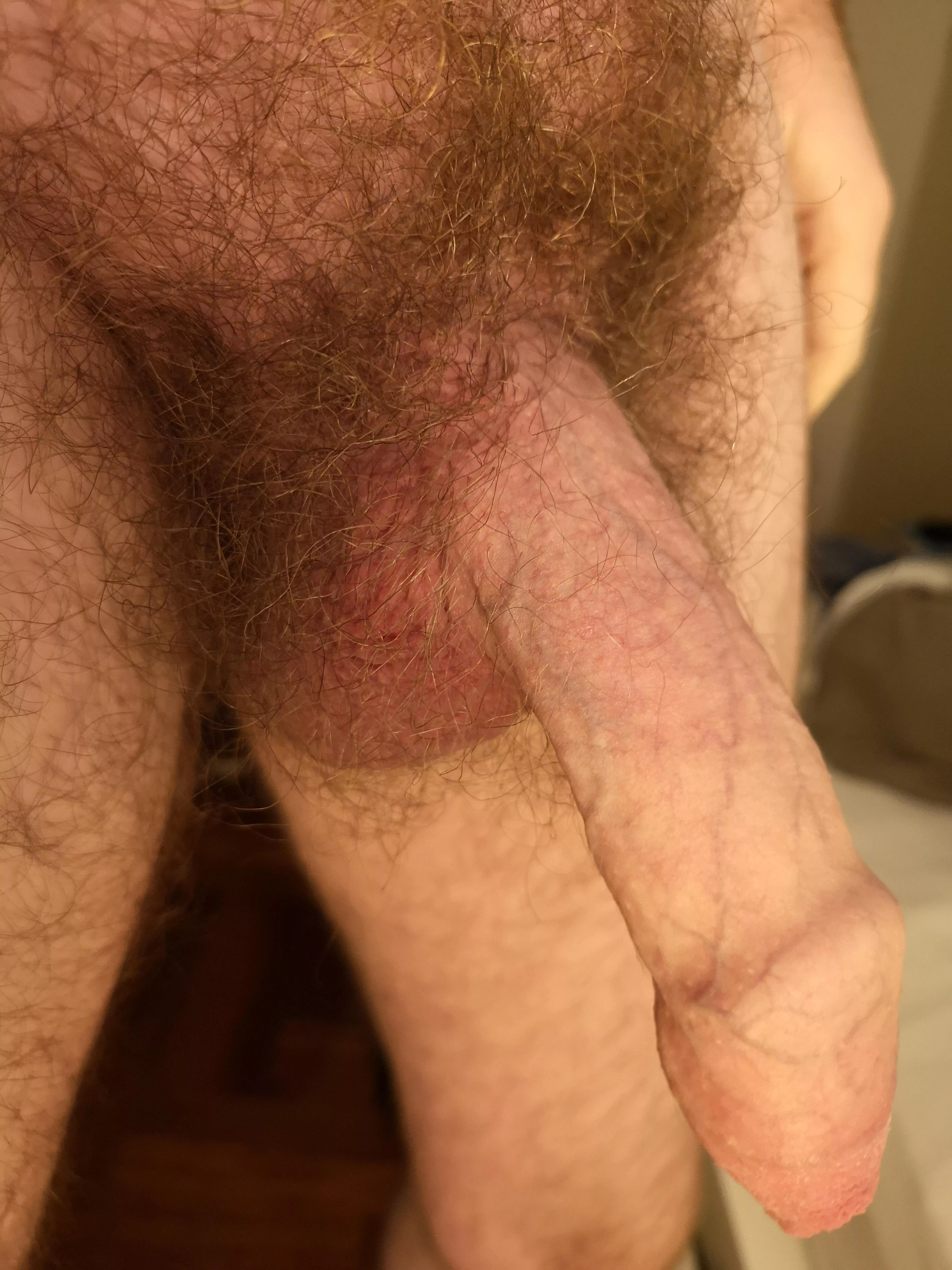 Hot bush with uncut dick Hot bush with uncut dick