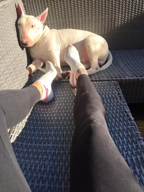 Hot feet after a long walk 🙈😉❤️would you mind ?