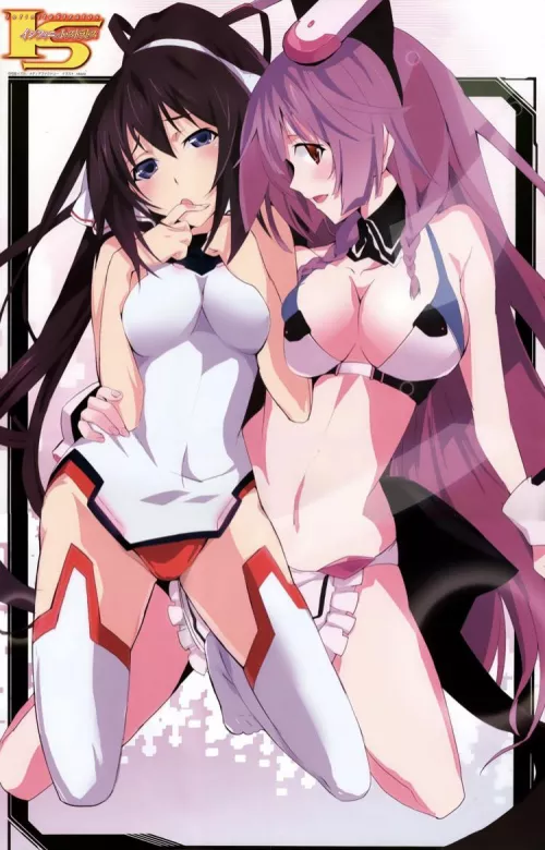 Houki & Tabane (infinite stratos)