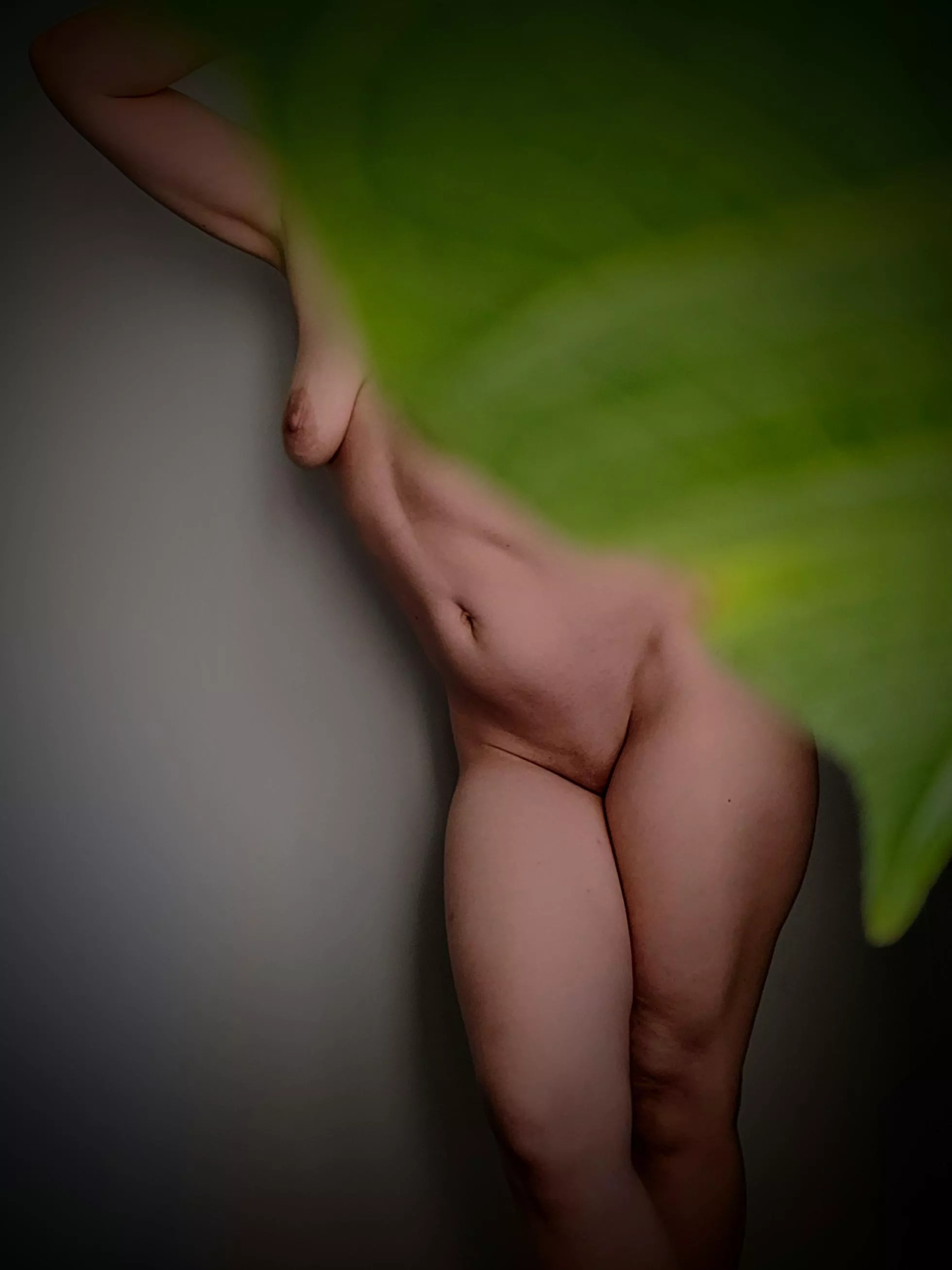 Houseplant hide & seek