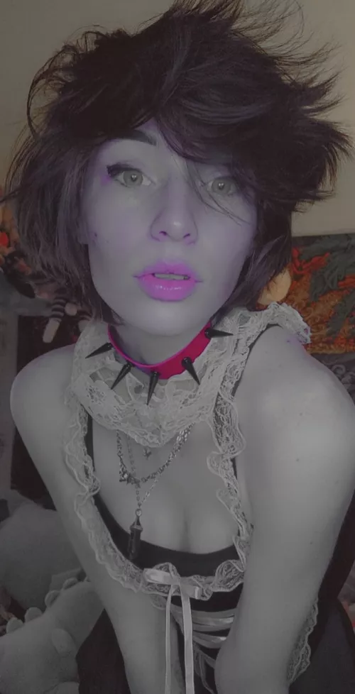 How about a cute goth maid? How about a cute goth maid?