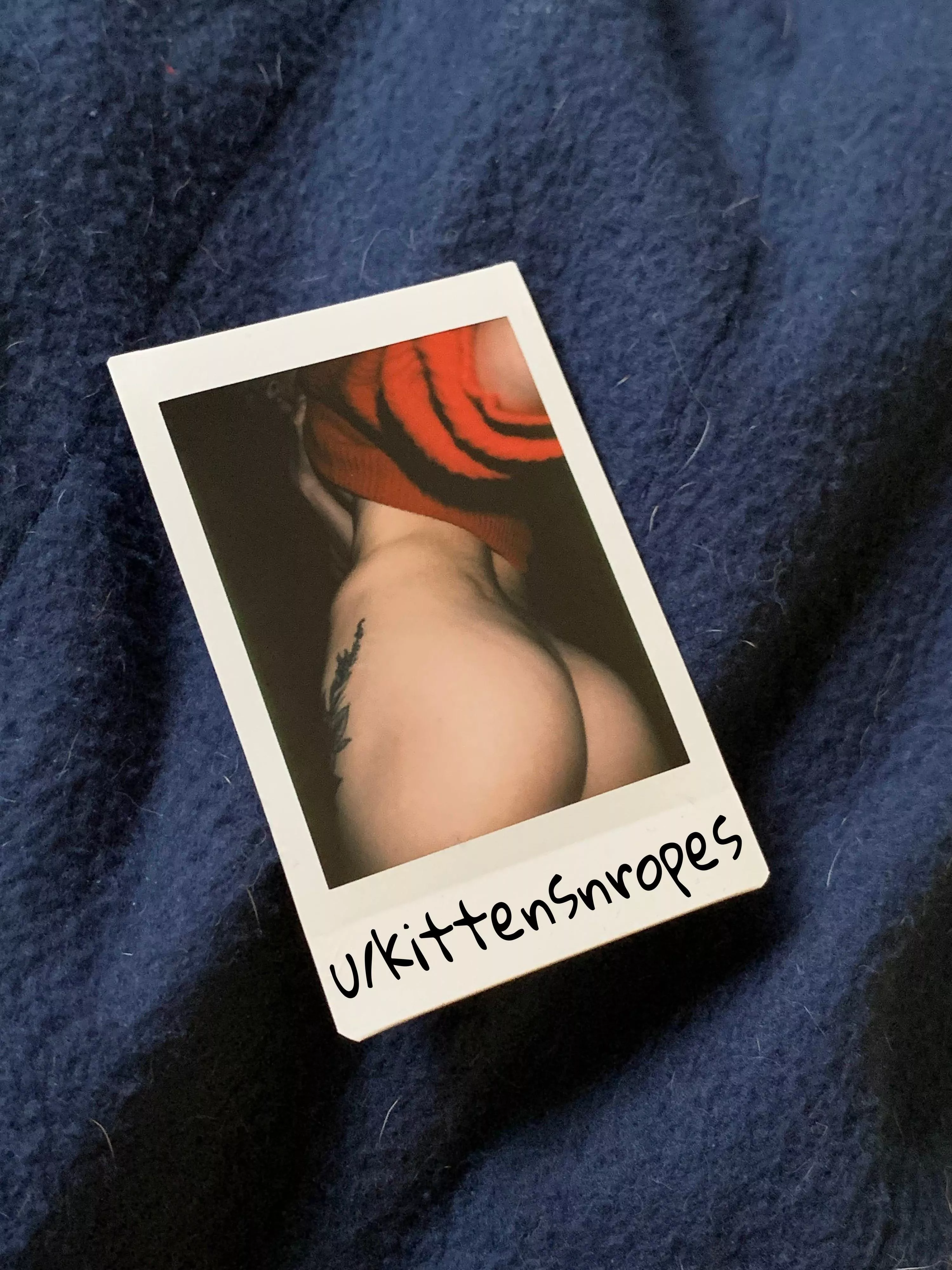 How about a polaroid of my ass to carry in your wallet?