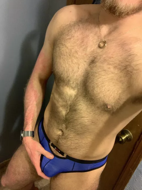 How about a young bulging bear ;) hair is growing everywhere!