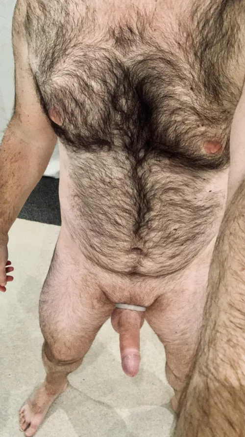 How about collaring and owning me? Would love to hear how you would modify and turn me into your ideal pet.