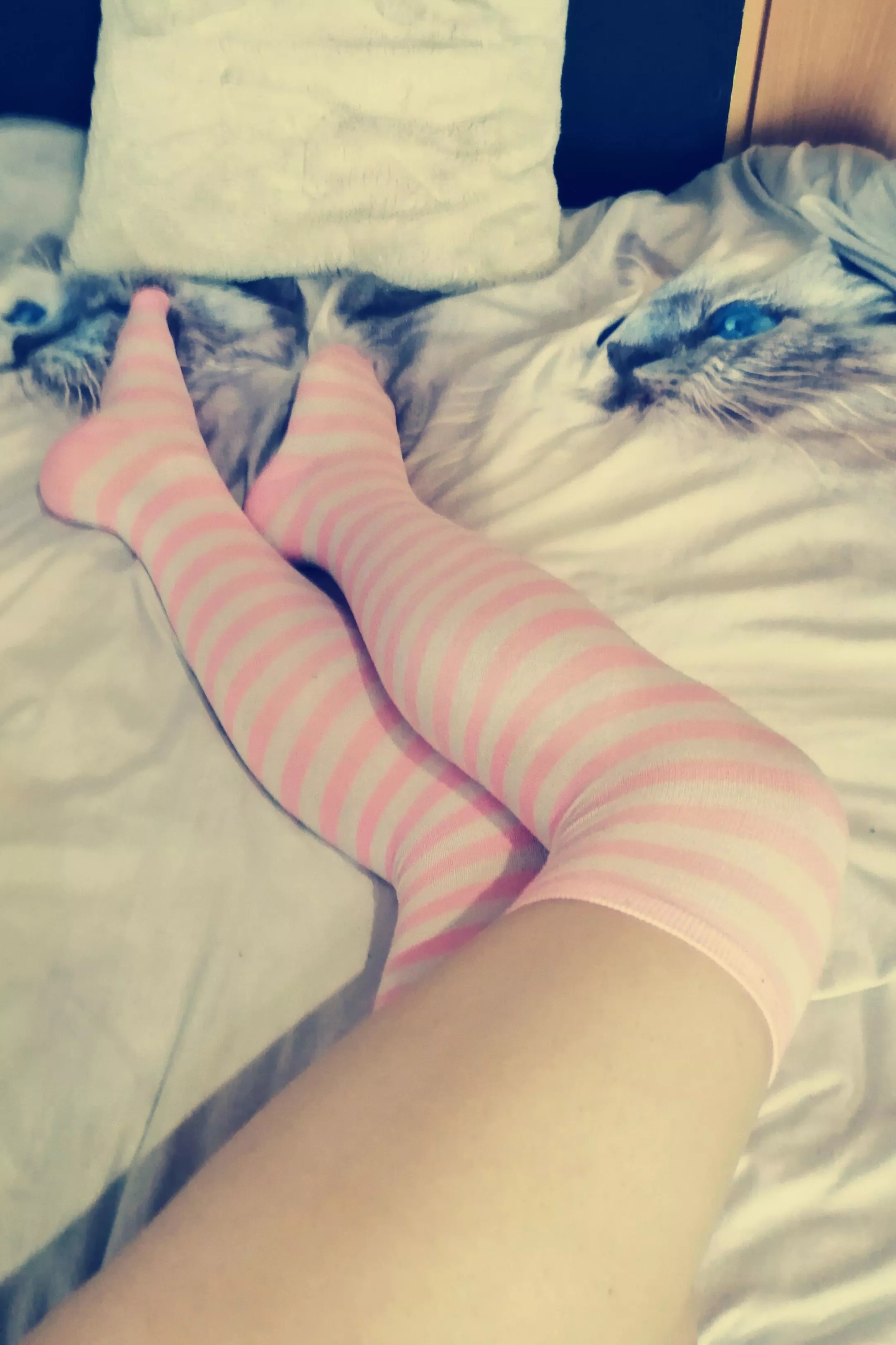 How about some attention for pink stripes 😘 How about some attention for pink stripes 😘