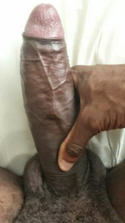 How about you sit that fat ass of yours on my cock