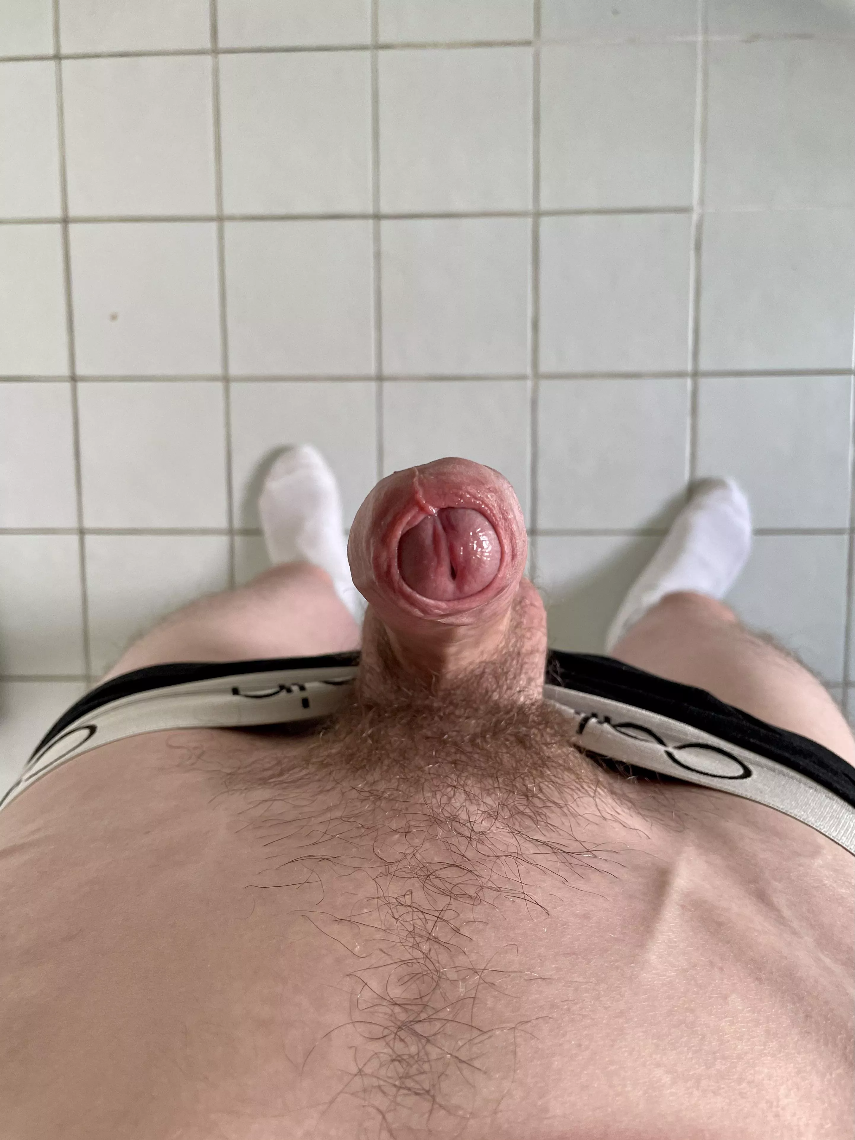 How am I meant to get anything done when he stares at me like this waiting for attention? How am I meant to get anything done when he stares at me like this waiting for attention?