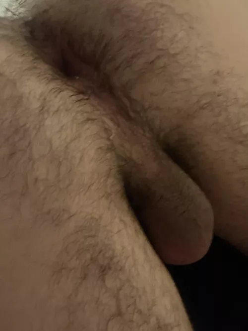 How can I be of service?