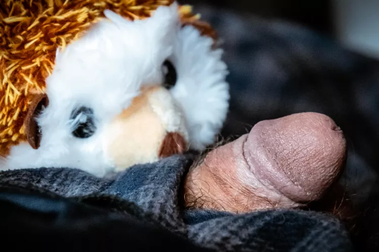 How cute is thus little guy? [31]