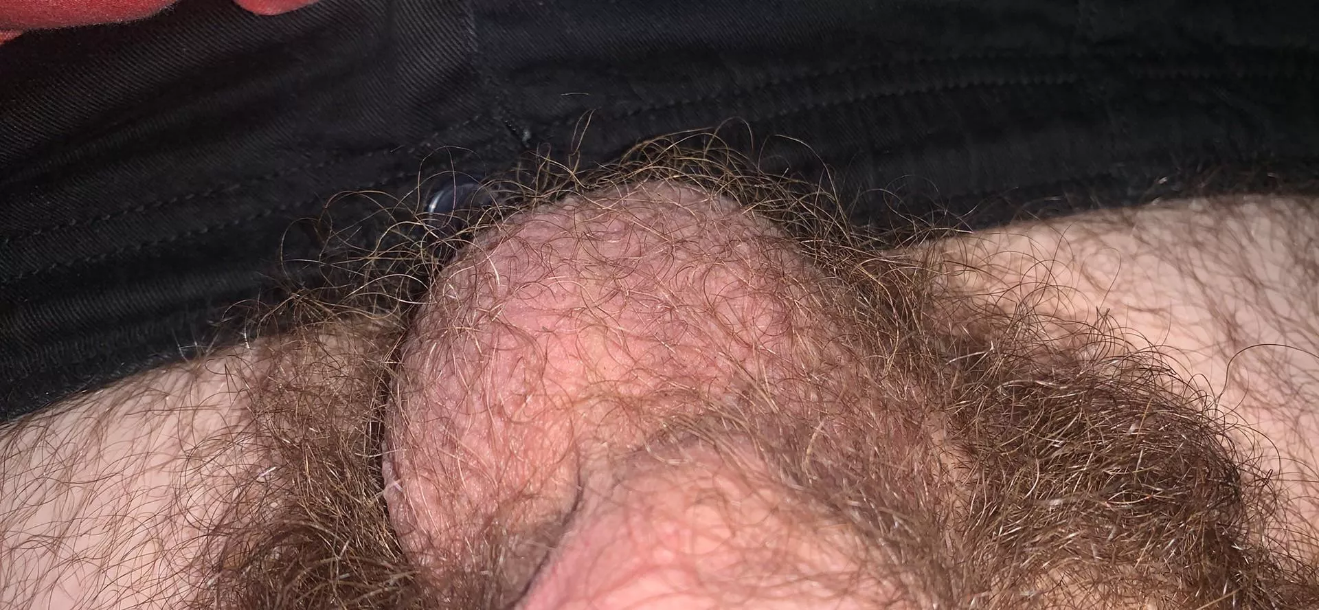 How Do My Balls Look? How Do My Balls Look?