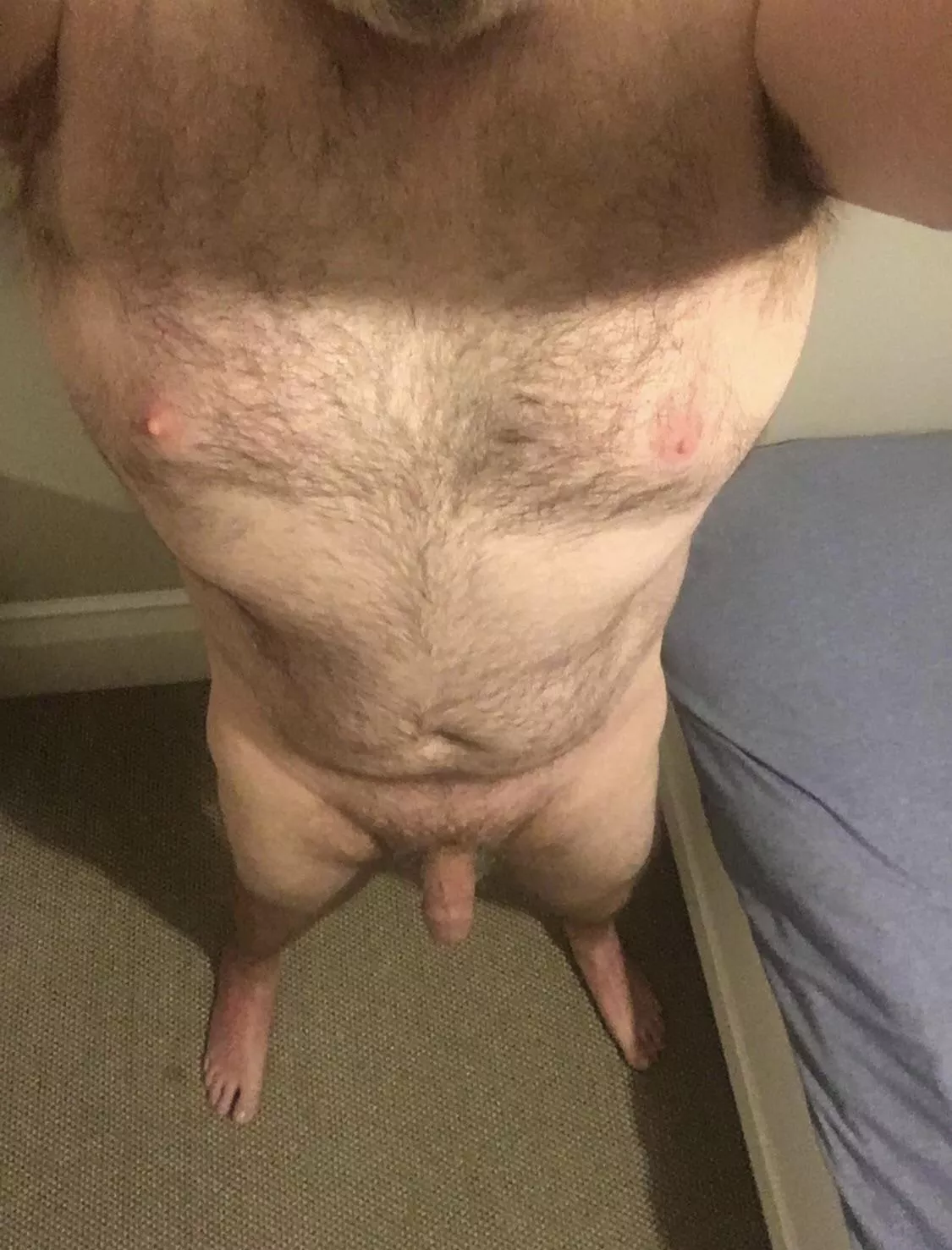 How do the ladies rate [m]y body