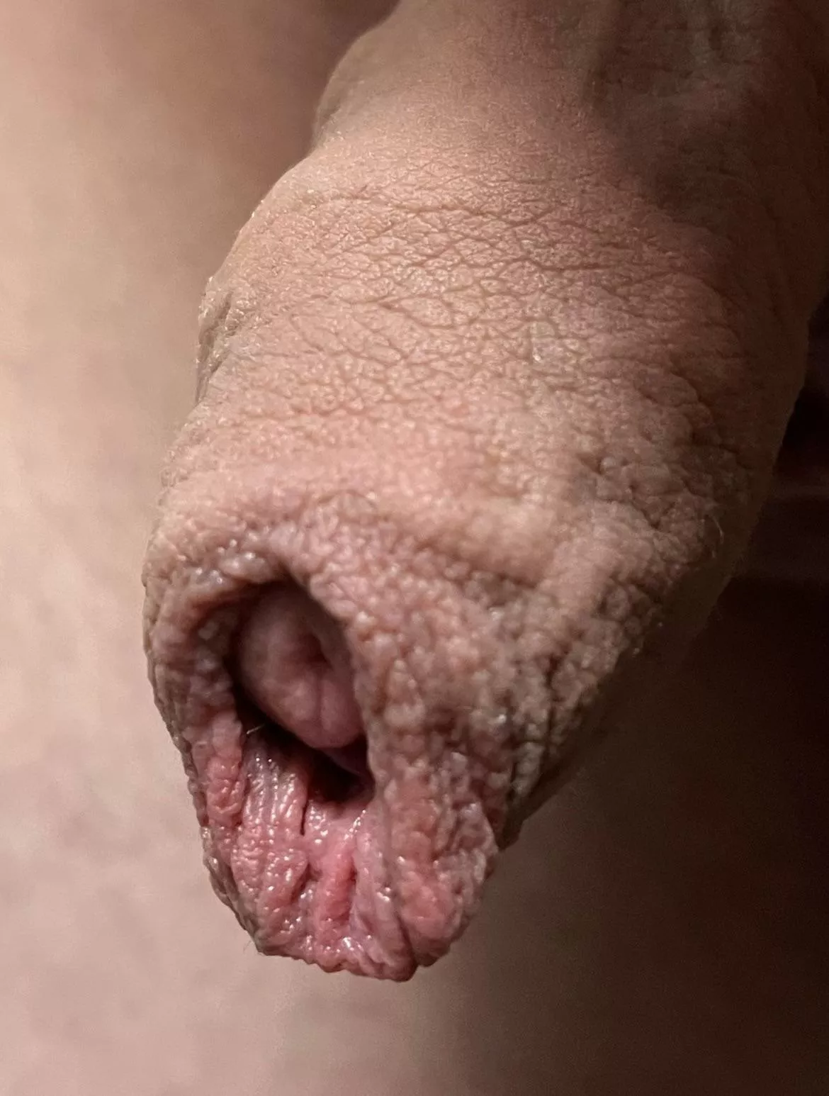 How do you like my foreskin in 4K?