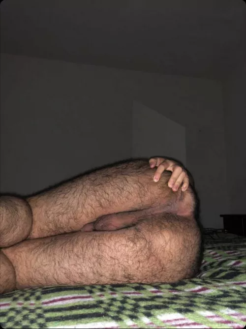 how do you like my hairy and virgin ass?