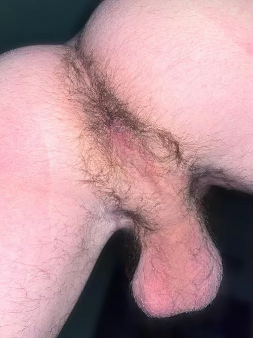 How do you like my taint bro?