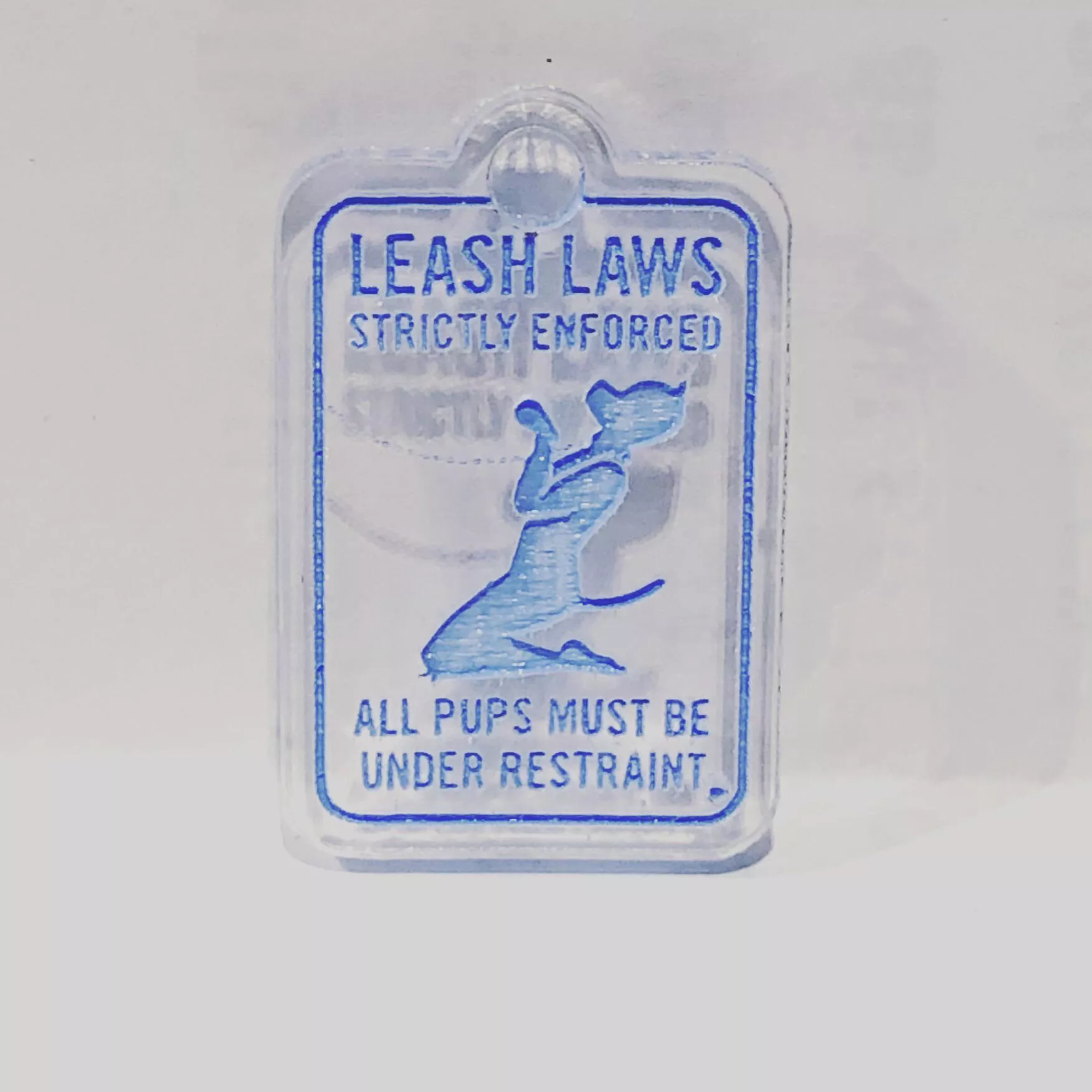 How do you like the pup tag with the blue? Do you think every pup should be leashed?