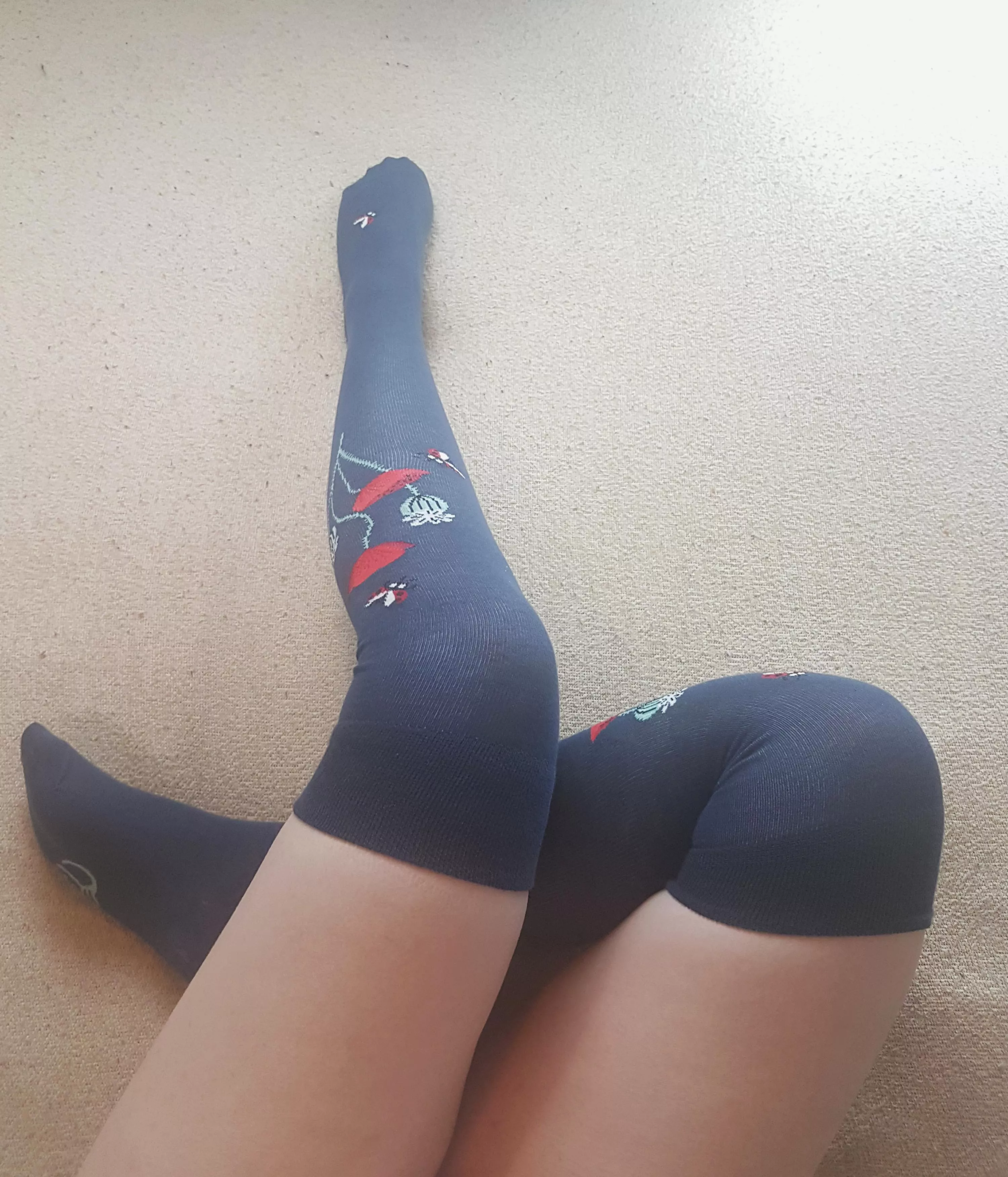 how do you like the view?