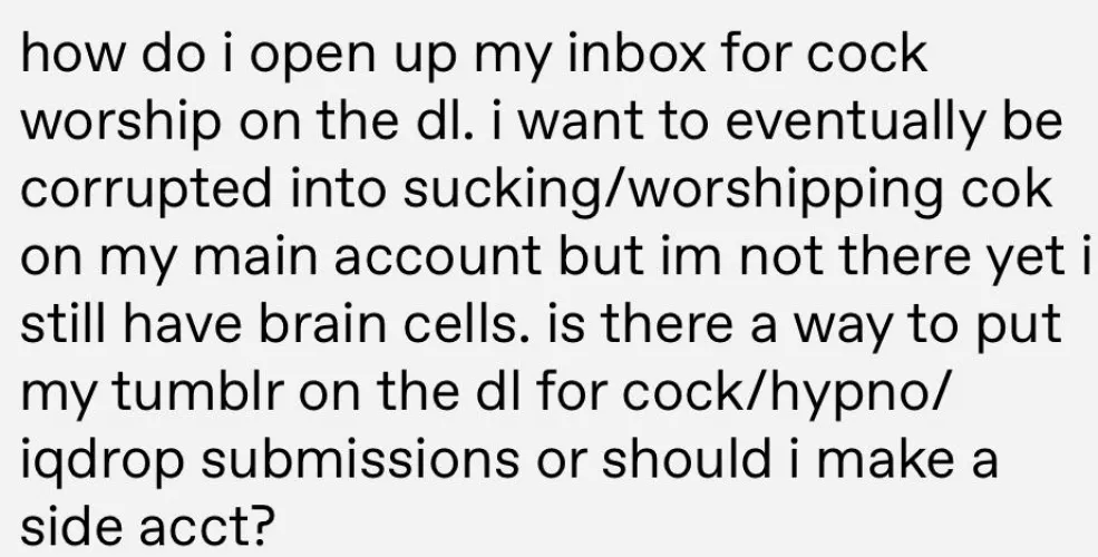 How does one subtlety let tumblr know you want your inbox full of dick pics? How does one subtlety let tumblr know you want your inbox full of dick pics?