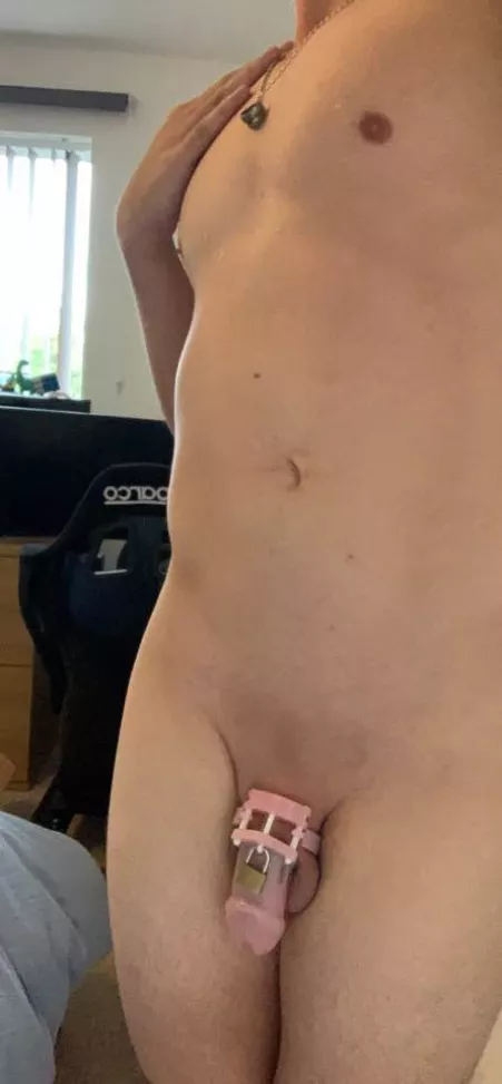 How else are you ment to keep a sissy in line How else are you ment to keep a sissy in line