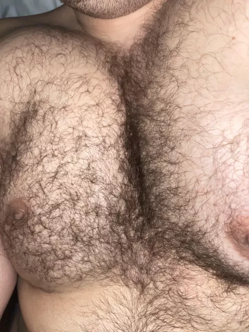How hairy would you say I am, on a scale of 1-10?