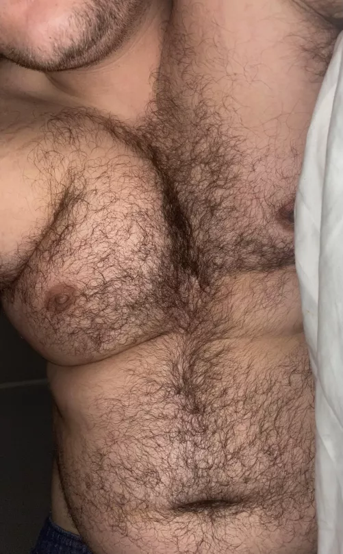 How hairy would you say I am, on a scale of 1-10?