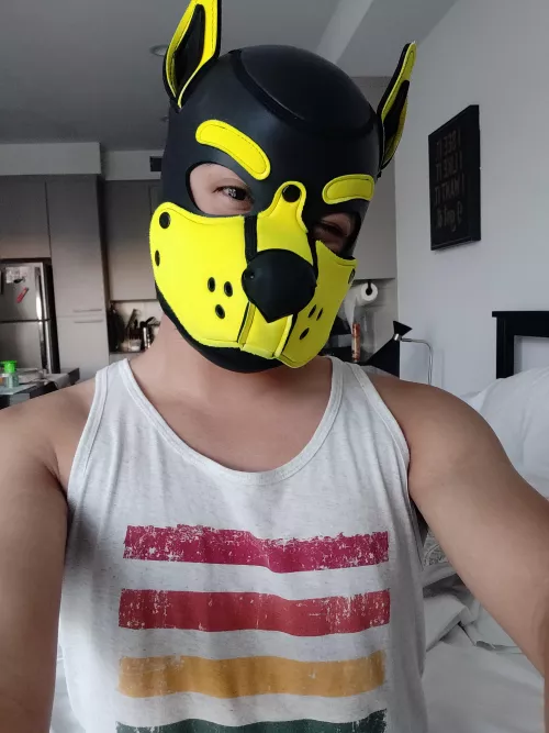 How is it only Tuesday?!?!?!? Had to take a little pup break before getting back to work~