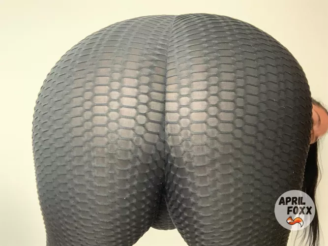 how much do you wanna spank it