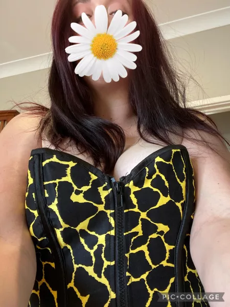 How much is that kitty in the window? Come closer and find out..... ๐ค๐ซ๐โโฌ๐ฎ