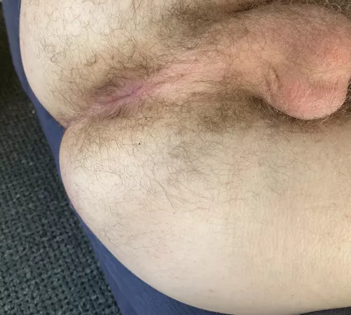 Howβs my hairy taint look? 22M